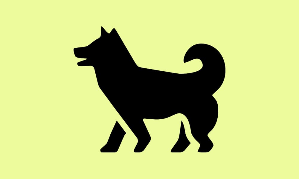 「しつけ」の義務教育化が変えるペット業界の未来：愛犬教育ビジネスの構造と仕事の専門性