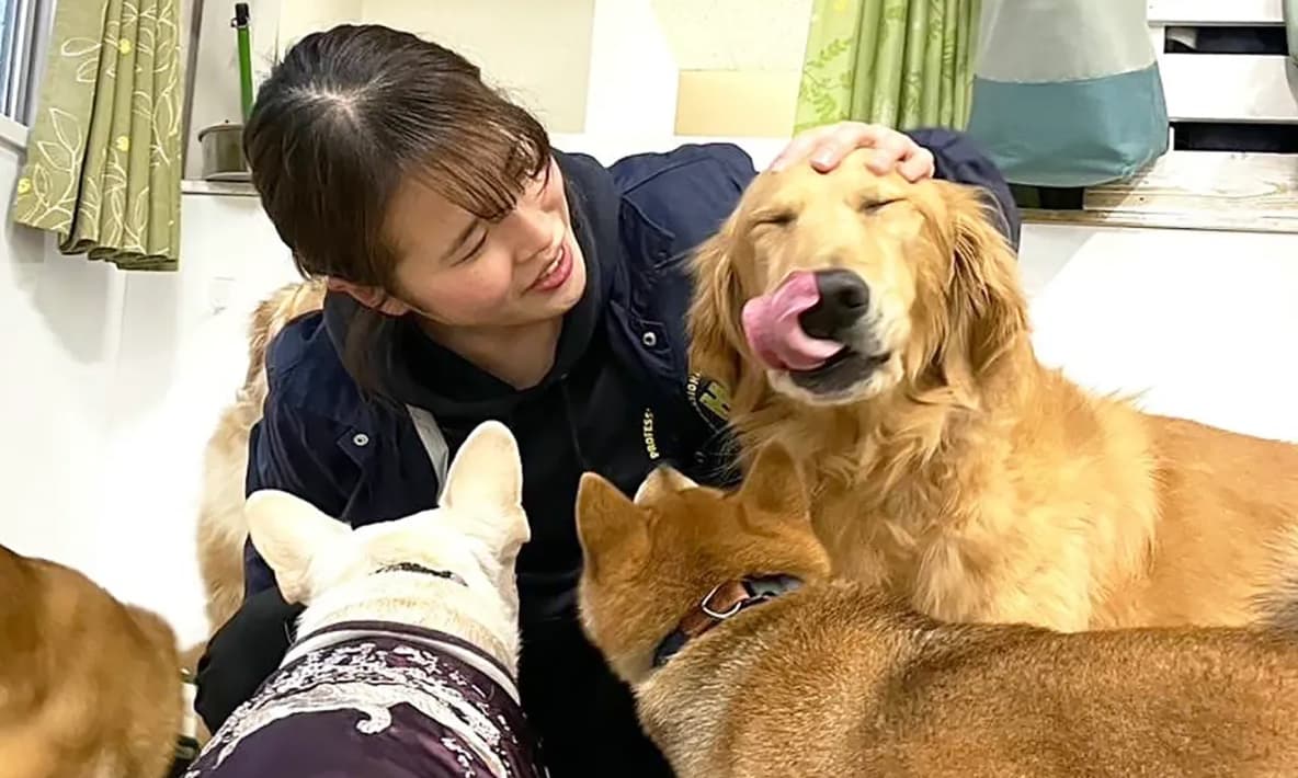 豊中から世界へ。殺処分ゼロを本気で目指すドッグスクールのキャリアパスと“卒業後もつながる”働き方